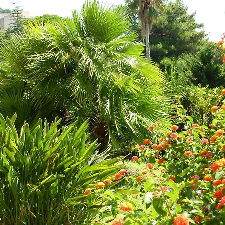 Hotel La Pinede Ajaccio  Eksteriør billede