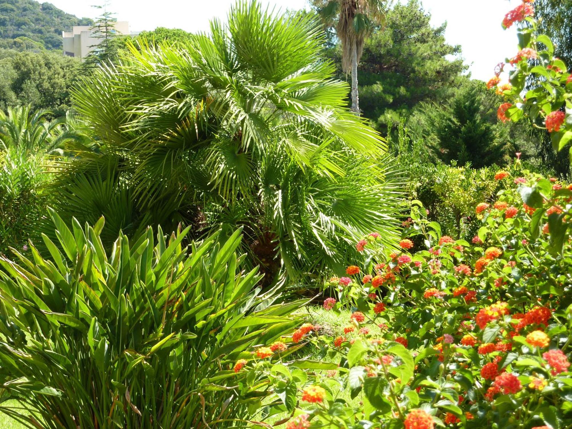 Hotel La Pinede Ajaccio  Eksteriør billede